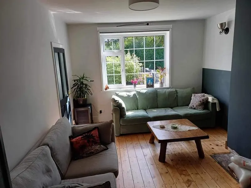Sage green lounge with original sash window picked out in white